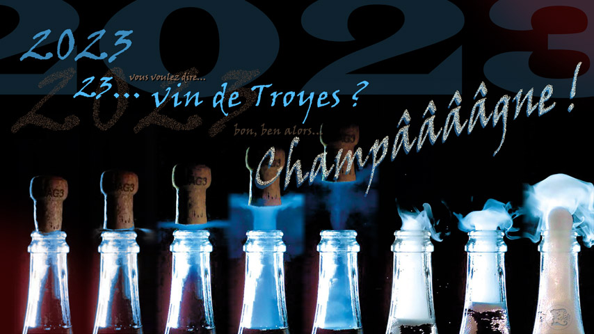 Carte de voeux 2023 : Champagne !